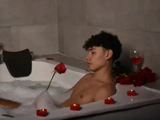 WebCAM de Davidlaidd