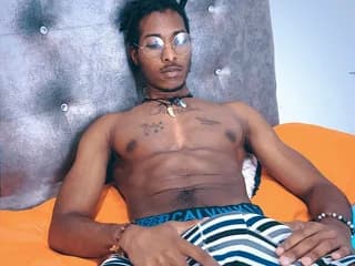 WebCAM de Stevens_Collins