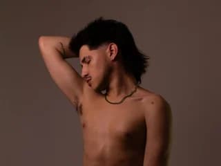 WebCAM de nathanferrara